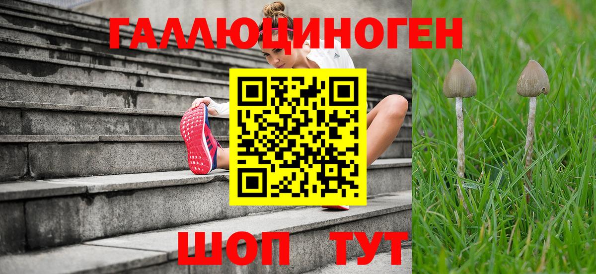 Галлюциногенные грибы MAGIC MUSHROOMS  Вход с VPN  Тольятти 